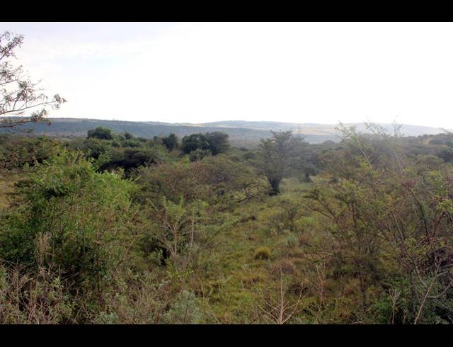 367HA FARM FOR SALE IN KOMGA